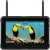 Monitor podglądowy Atomos Shinobi 7 RX
