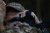 celownik-noktowizyjny-pard-night-stalker-4k-v2-70-mm-lrf