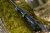 PARD Night Stalker 4K 2.0 70 mm LRF + moduł iluminator podczerwieni 940 nm