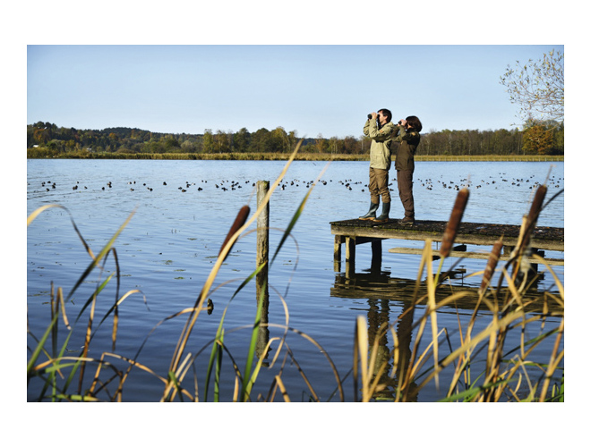 Swarovski Lornetka SLC 8x56