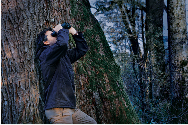 Swarovski Lornetka SLC 8x56