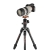 Manfrotto Statyw Befree GT Carbon Sony Alpha MKBFRTC4GTA-BH