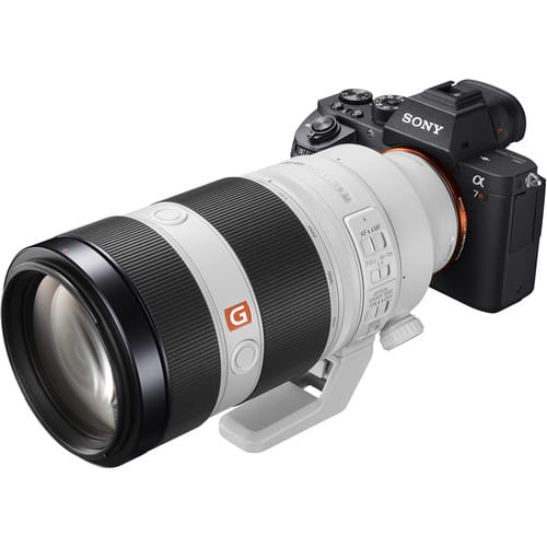 Sony FE 100-400 mm f/4.5-5.6 GM OSS