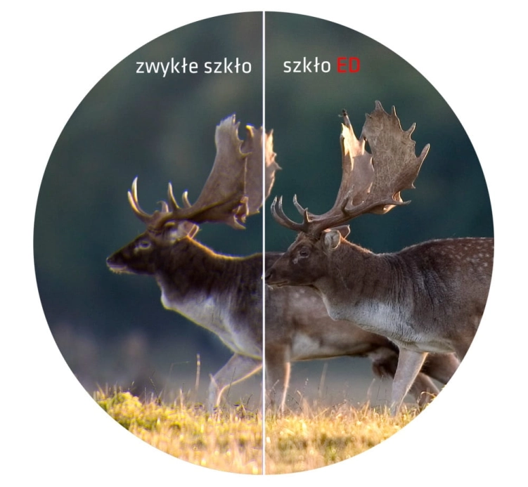 Delta Optical Lornetka Titanium 8x56 ED DO-1406