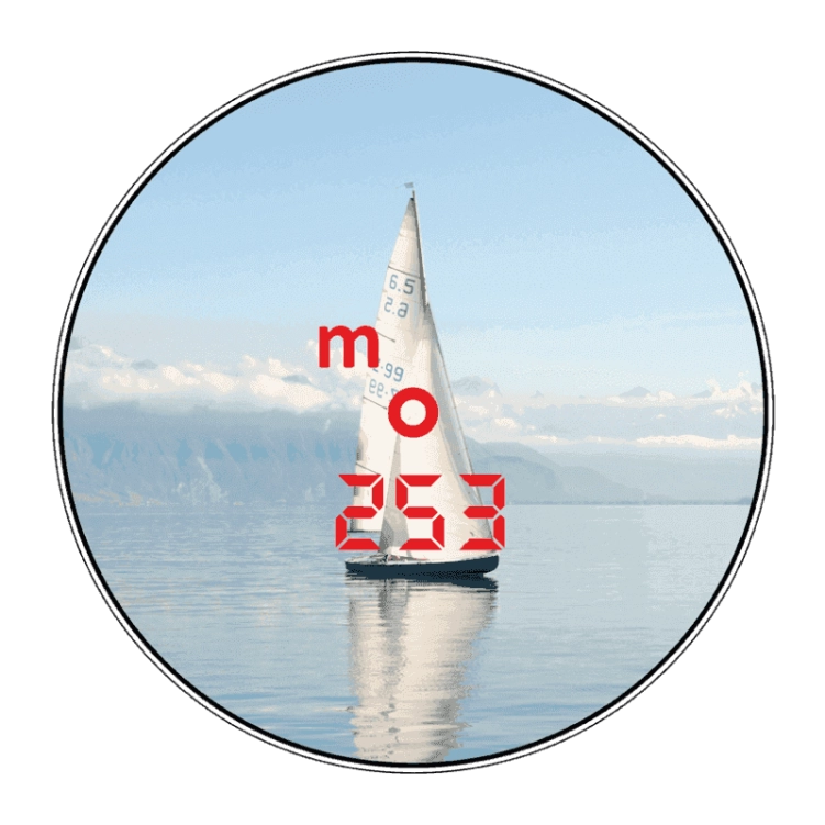 Lornetka Steiner Commander 7x50 LRF z dalmierzem