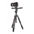 Manfrotto Befree Advanced 3W Live Sony α - Beafoto.pl