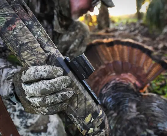 Kolimator Burris FastFire IV