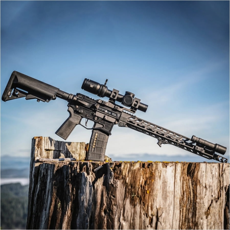 Vortex Strike Eagle 1-8x24 30 mm EBR-8