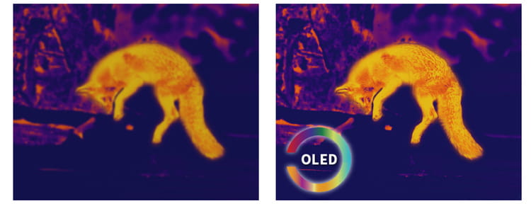 Luneta termowizyjna Pixfra Pegasus Pro P435