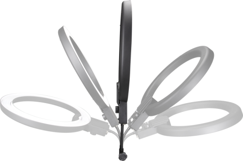 Ring LED Nanlite Halo19 - z torba