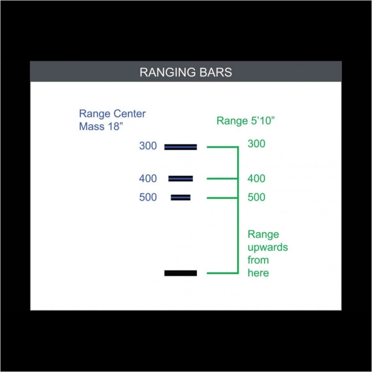 Celownik pryzmatyczny Primary Arms GLx 2x ACSS CQB M5 5,56/.308/5,45