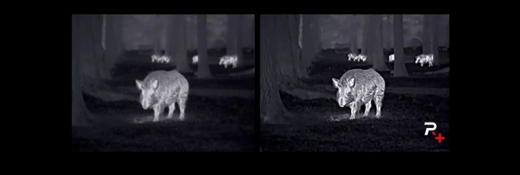 Termowizor NOCPIX LUMI L35