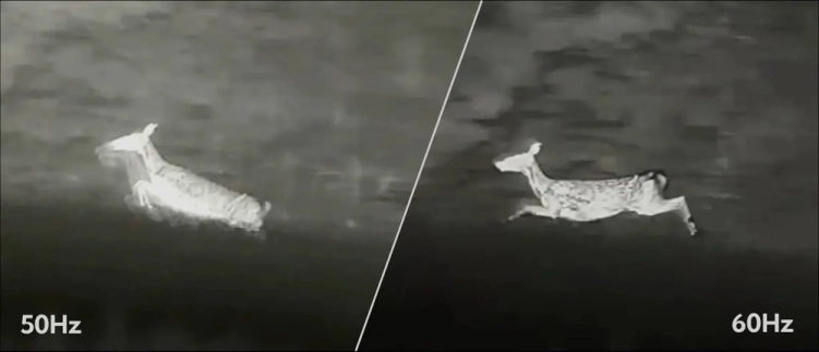 Monokular termowizyjny Nocpix Vista S50R