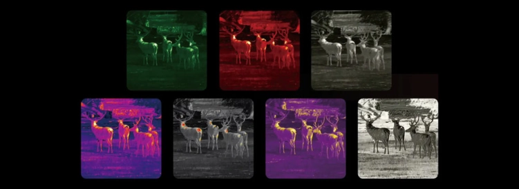 Monokular termowizyjny Nocpix Vista S50R