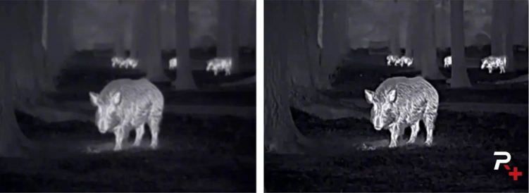 Monokular termowizyjny Nocpix Lumi H35R