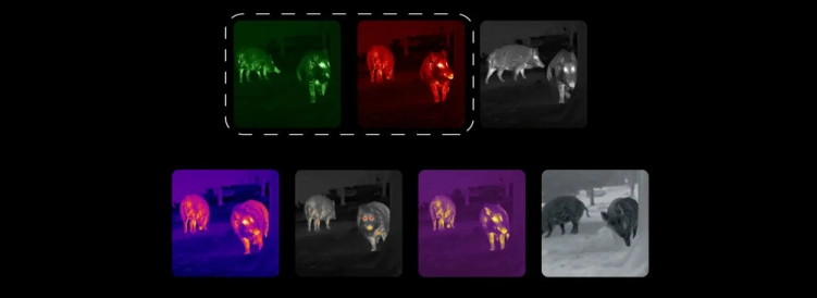 Monokular termowizyjny Nocpix Lumi L35R