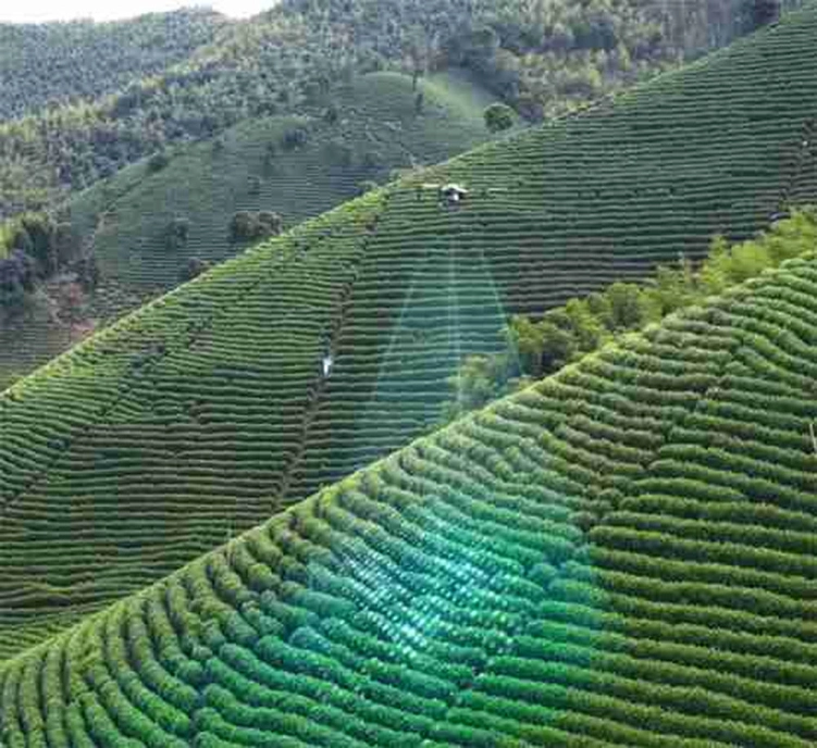 DJI Agras T25