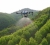 DJI Agras T25