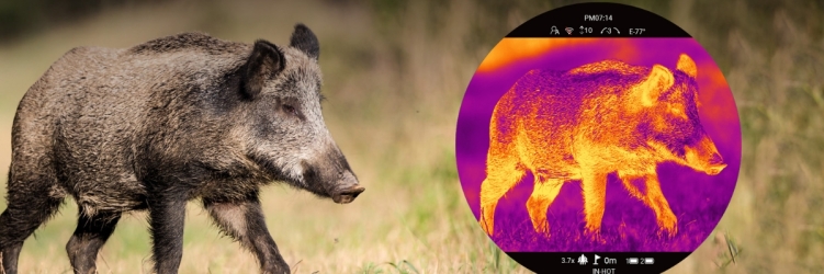 Okrągły wyświetlacz OLED 2560x2560 w celowniku Pard Pantera eX LRF