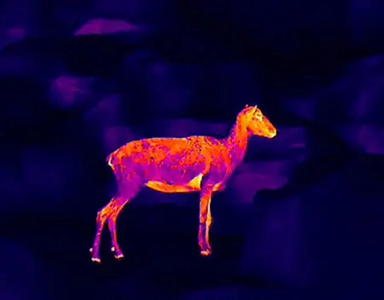 Monokular termowizyjny Guide TD633L