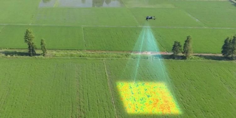 mavic-3-multispectral-beafoto