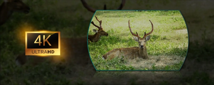 Lornetka termowizyjna z dalmierzem Pixfra Draco D225-4K