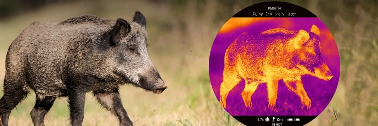 Celownik termowizyjny PARD Pantera 640 eX 50 mm