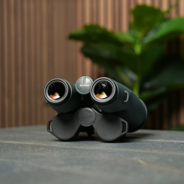 Lornetka Swarovski SLC 8x56 UŻYWANA/ODNOWIONA