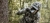 Lornetka Leupold BX-4 Pro Guide HD 10x50 mm Gen 2