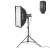 Zestaw studyjny Elinchrom D-Lite RX 4 - First Studio Kit