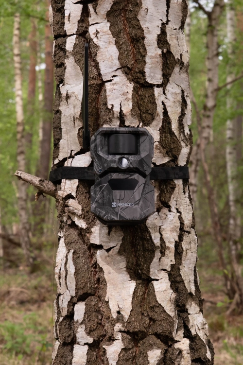 Kamera do monitoringu dla leśniczego  Hikmicro T16