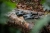 1060w-inspo_01_130141-beafoto.webp
