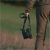 lornetka-multispektralna-termowizyjna-termowizor-z-dalmierzem-pard-osprey-4k-25-50-mm-lrf-z-ir