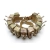 pas-bandolier-13x40mm-full-flap-qr-templars-gear-beafoto.webp