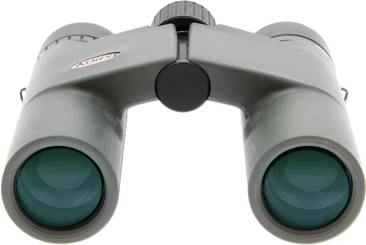Lornetka Kowa BD 10x25