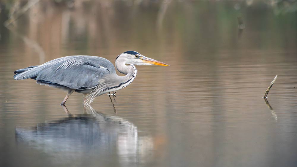 Digiscoping aparatem bezlusterkowym