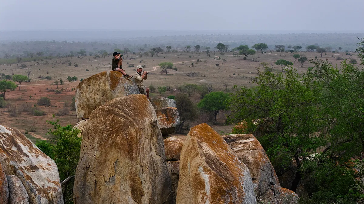 Jaka lornetka na safari w Afryce?