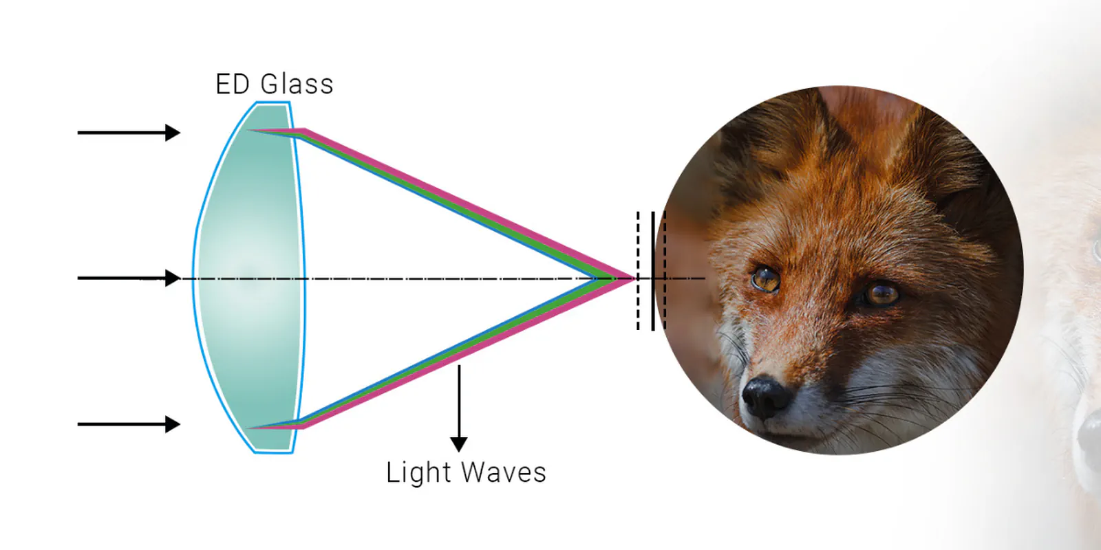 Lornetka z dalmierzem PARD Ranger ED 3000 LRF