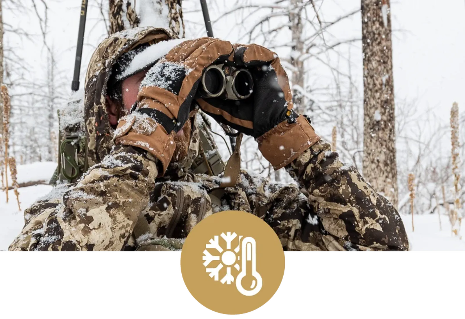 Lornetka Leupold BX-4 Pro Guide HD 10x50 mm Gen 2