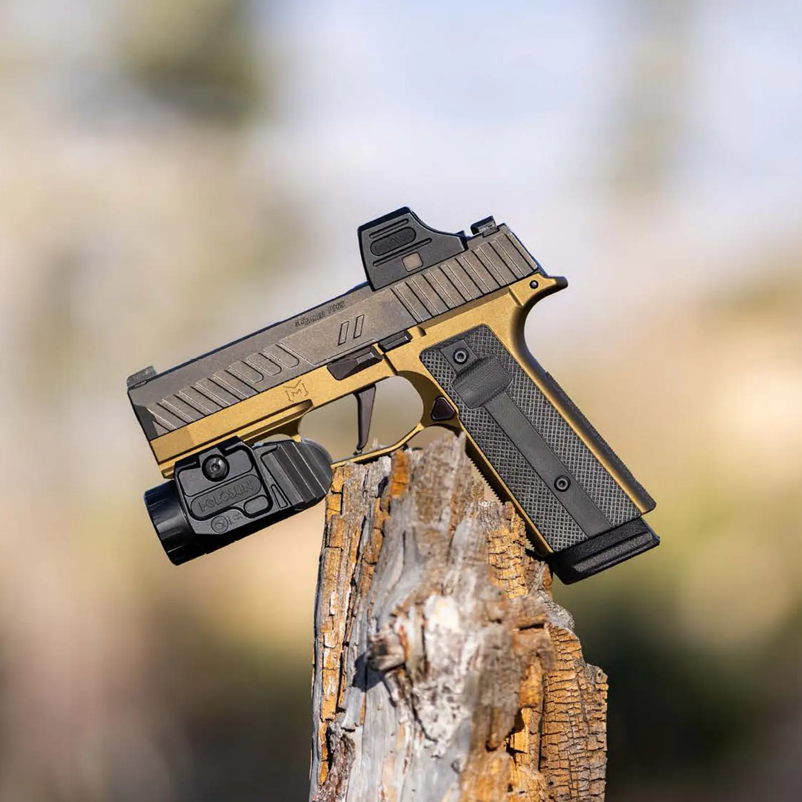 Kolimator zamknięty Holosun SCS Carry Green Dot RMSc
